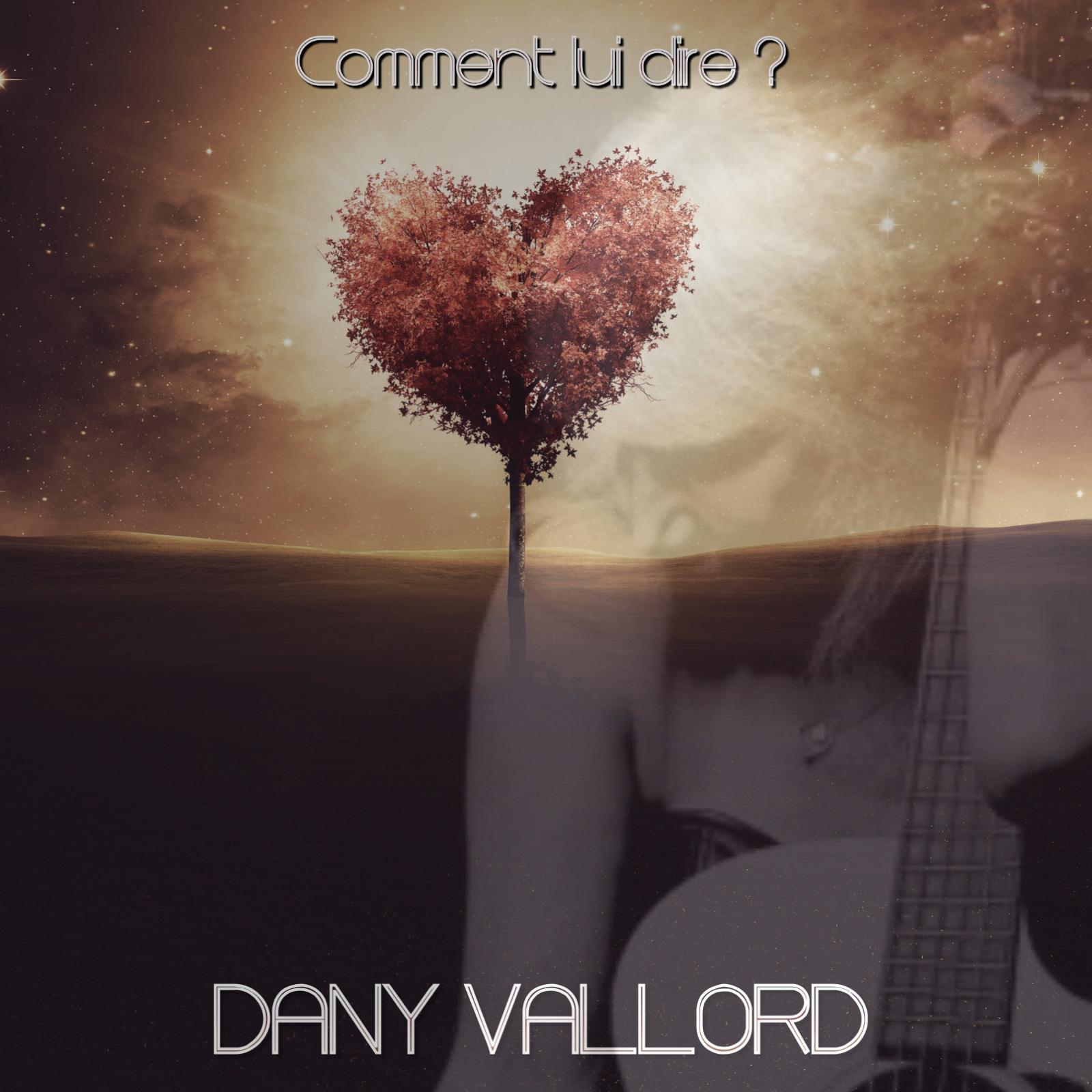 Dany Vallord - Comment lui dire ?